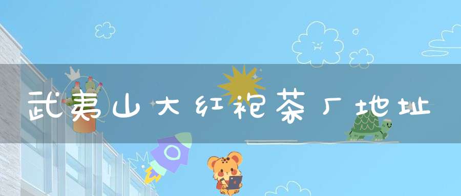 武夷山大红袍茶厂地址
