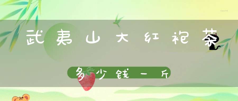 武夷山大红袍茶多少钱一斤