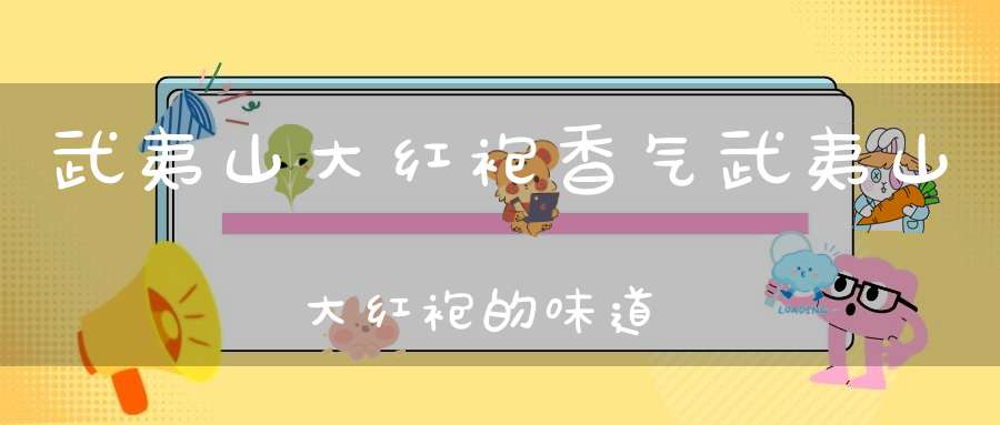 武夷山大红袍香气武夷山大红袍的味道