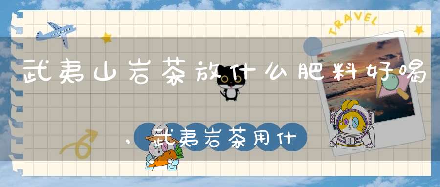 武夷山岩茶放什么肥料好喝,武夷岩茶用什么水泡最好