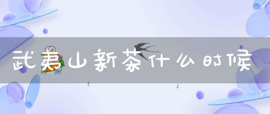 武夷山新茶什么时候