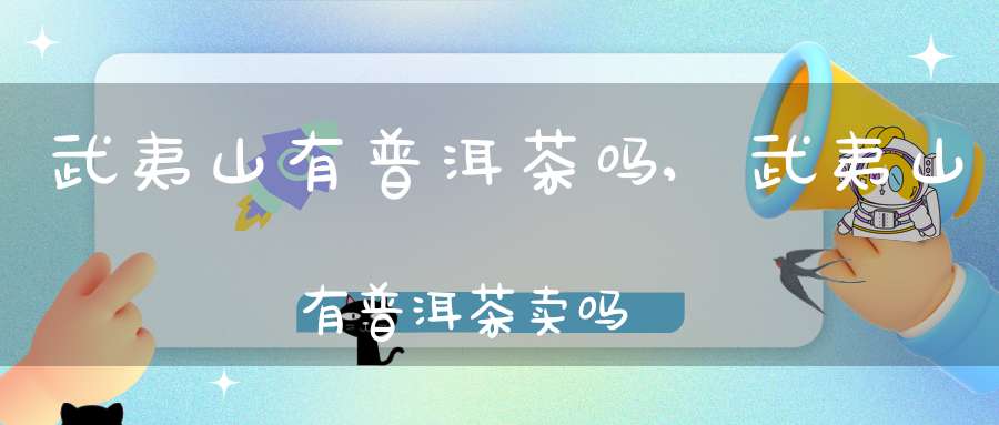 武夷山有普洱茶吗,武夷山有普洱茶卖吗