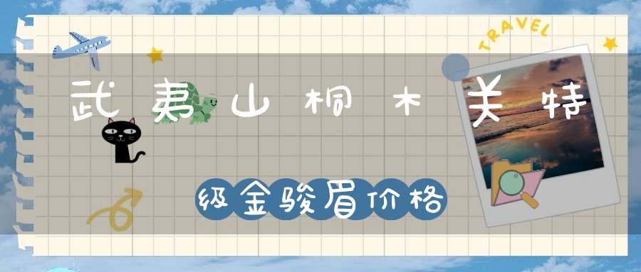 武夷山桐木关特级金骏眉价格