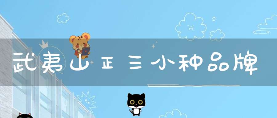 武夷山正三小种品牌