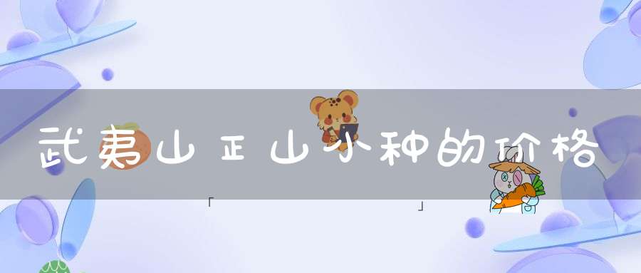 武夷山正山小种的价格