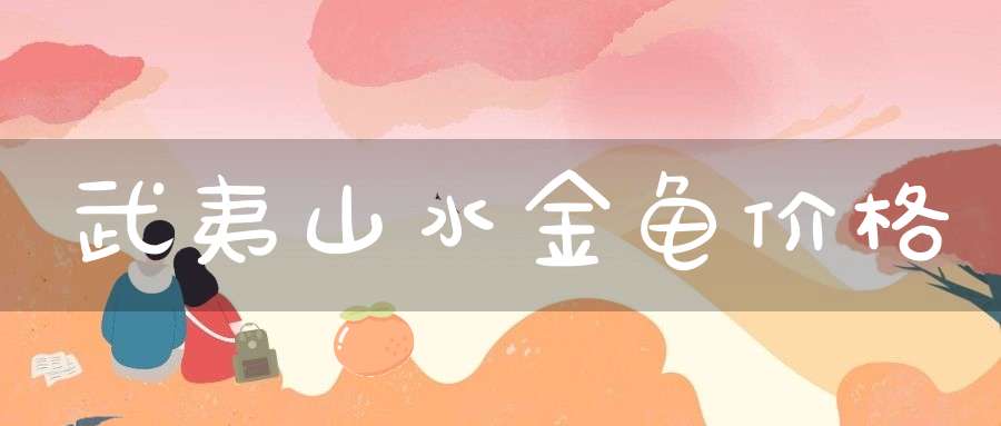 武夷山水金龟价格