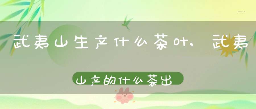 武夷山生产什么茶叶,武夷山产的什么茶出名