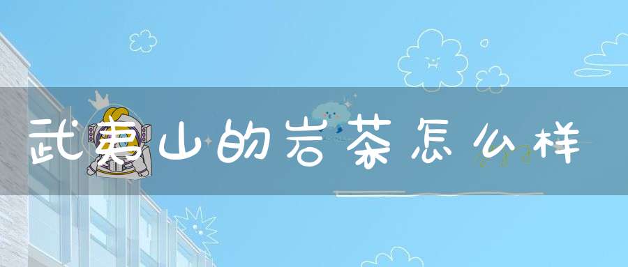 武夷山的岩茶怎么样