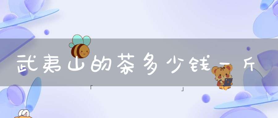 武夷山的茶多少钱一斤
