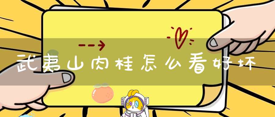 武夷山肉桂怎么看好坏