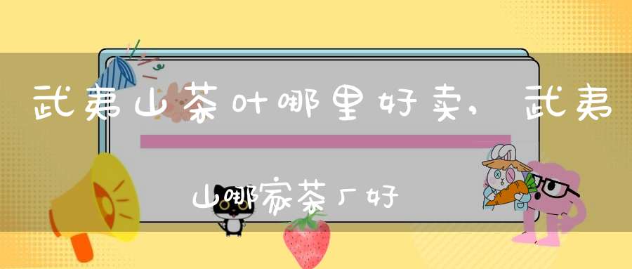 武夷山茶叶哪里好卖,武夷山哪家茶厂好