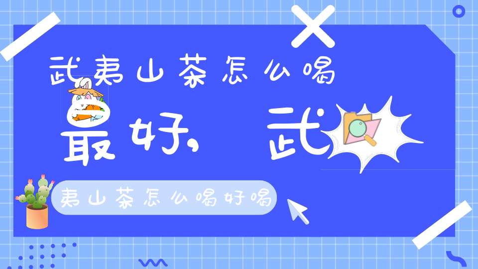 武夷山茶怎么喝最好,武夷山茶怎么喝好喝