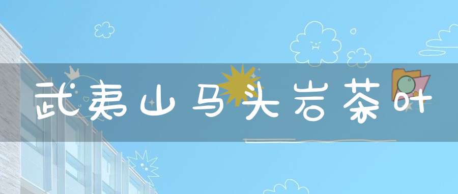 武夷山马头岩茶叶