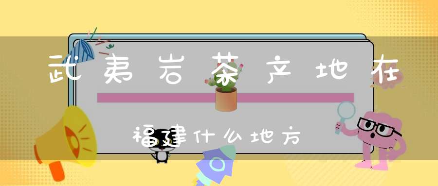 武夷岩茶产地在福建什么地方