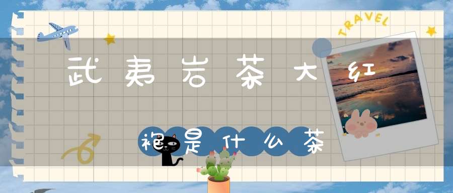 武夷岩茶大红袍是什么茶