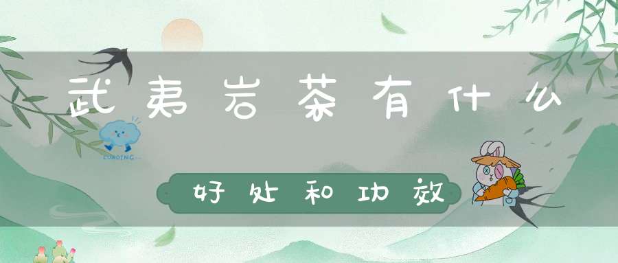 武夷岩茶有什么好处和功效