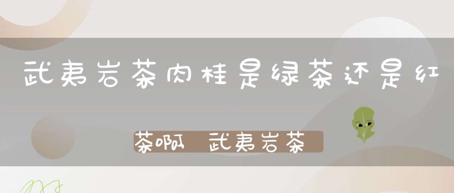 武夷岩茶肉桂是绿茶还是红茶啊,武夷岩茶肉桂是绿茶吗