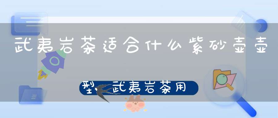 武夷岩茶适合什么紫砂壶壶型,武夷岩茶用什么紫砂壶