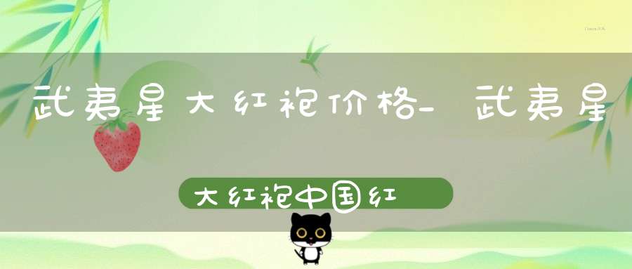 武夷星大红袍价格_武夷星大红袍中国红