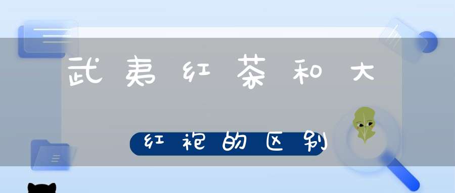 武夷红茶和大红袍的区别