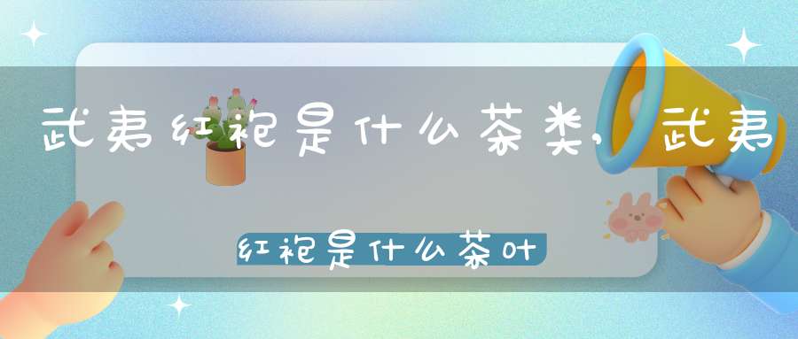 武夷红袍是什么茶类,武夷红袍是什么茶叶