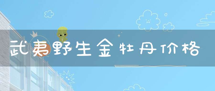 武夷野生金牡丹价格