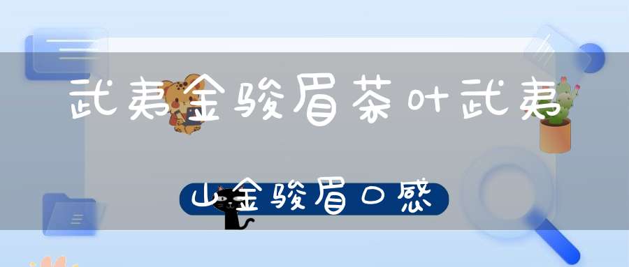 武夷金骏眉茶叶武夷山金骏眉口感