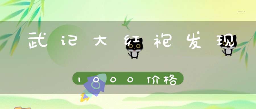 武记大红袍发现1000价格