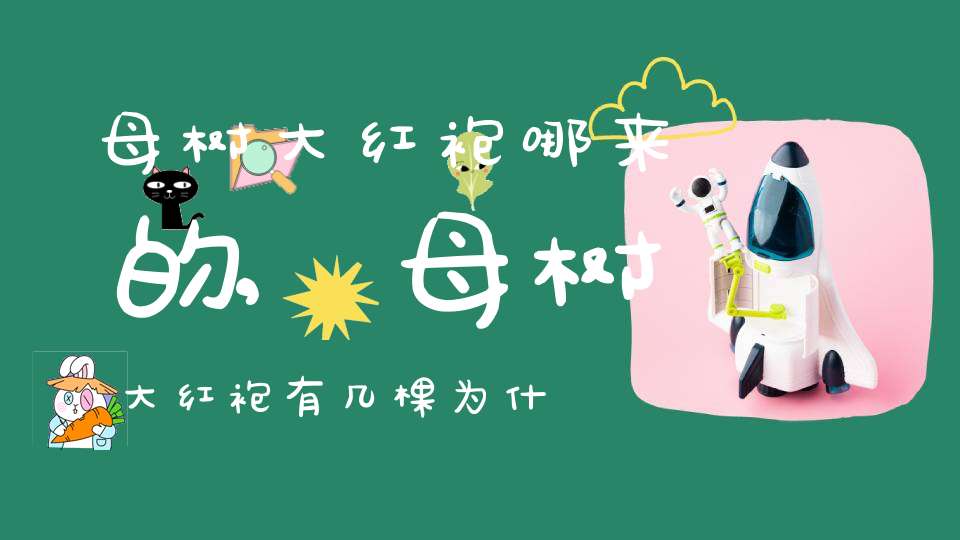 母树大红袍哪来的,母树大红袍有几棵为什么那么珍贵及原因