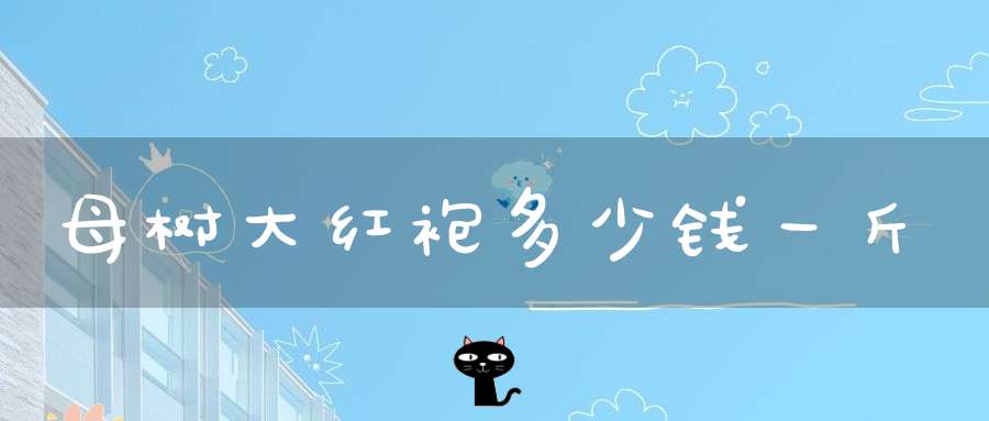 母树大红袍多少钱一斤