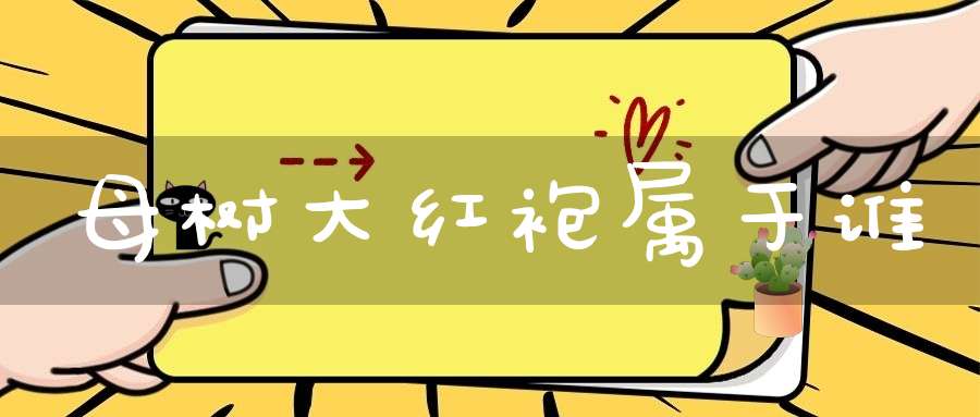 母树大红袍属于谁