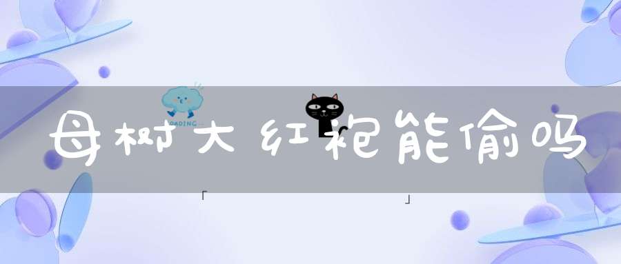 母树大红袍能偷吗