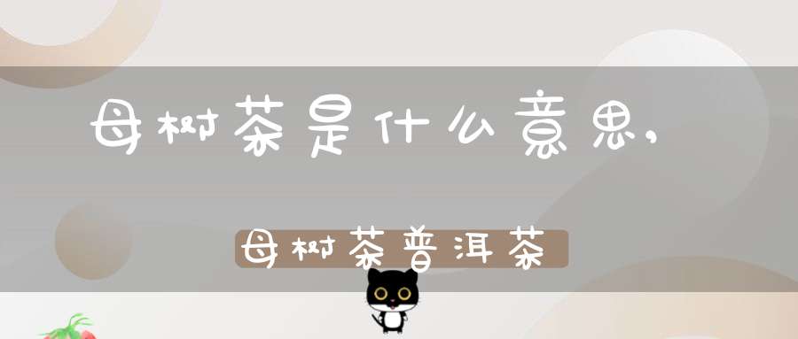 母树茶是什么意思,母树茶普洱茶