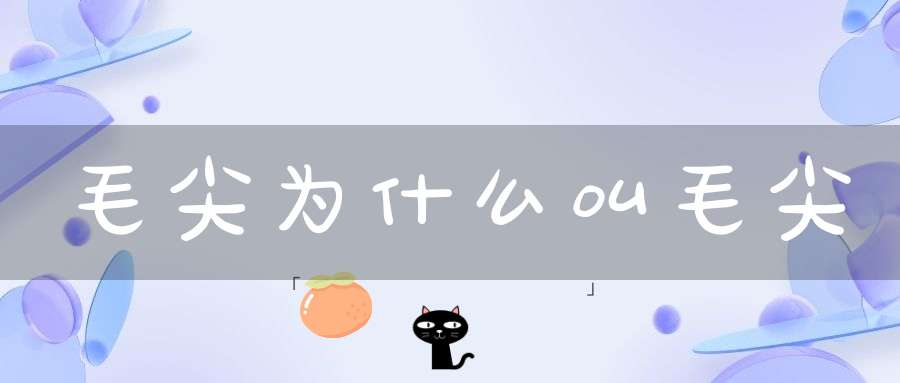 毛尖为什么叫毛尖