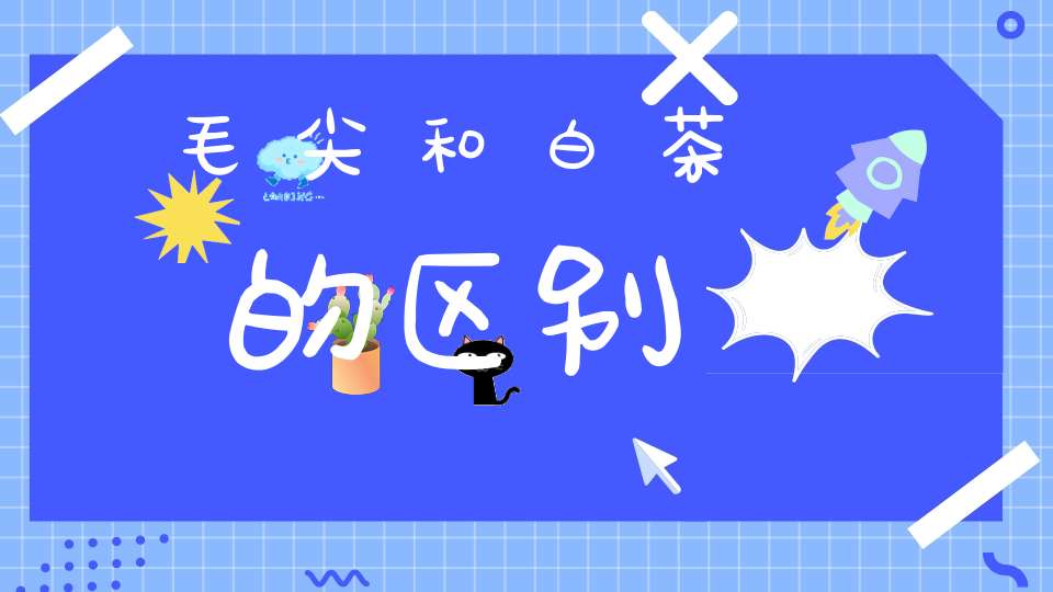 毛尖和白茶的区别