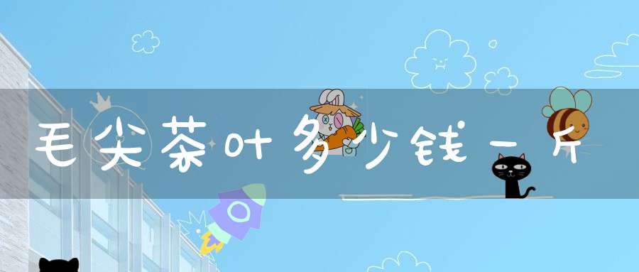 毛尖茶叶多少钱一斤