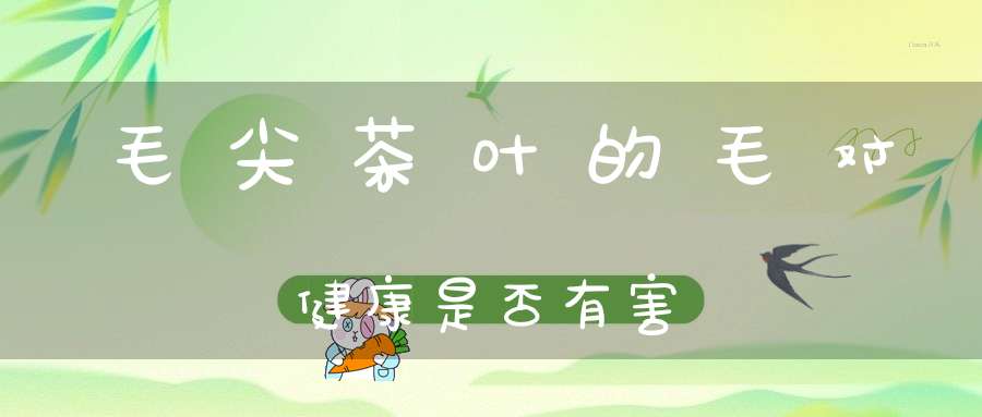 毛尖茶叶的毛对健康是否有害