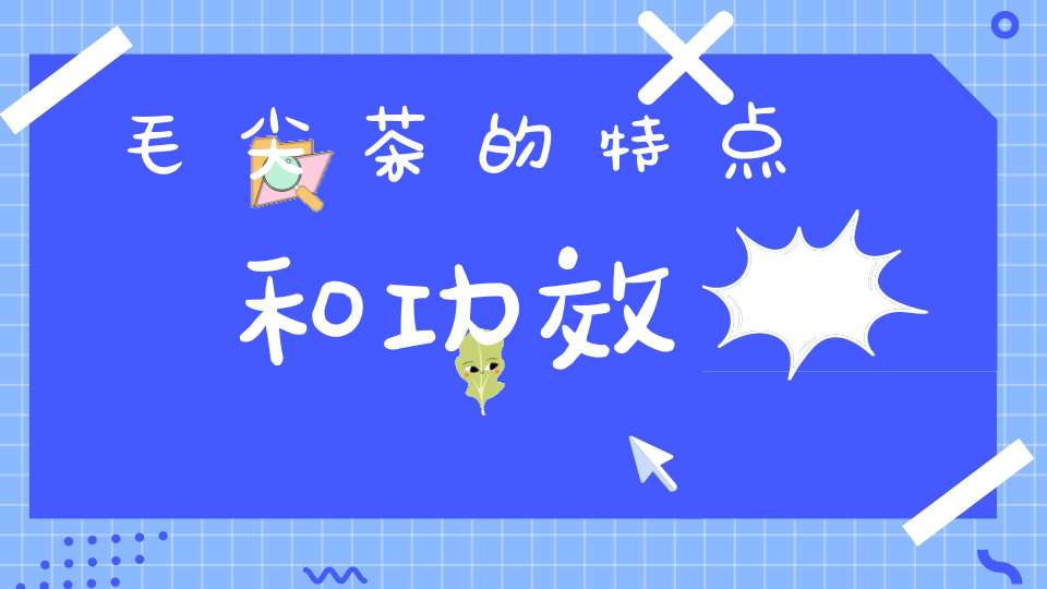 毛尖茶的特点和功效