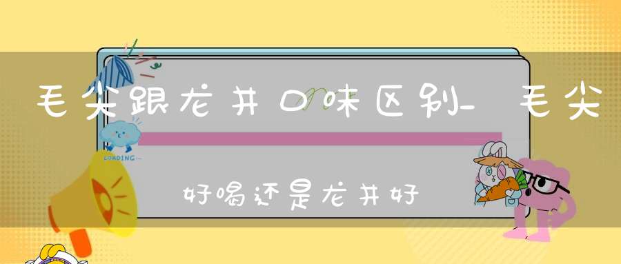 毛尖跟龙井口味区别_毛尖好喝还是龙井好喝