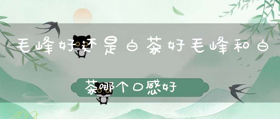 毛峰好还是白茶好毛峰和白茶哪个口感好