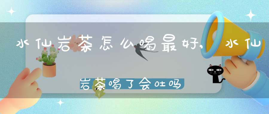 水仙岩茶怎么喝最好,水仙岩茶喝了会吐吗