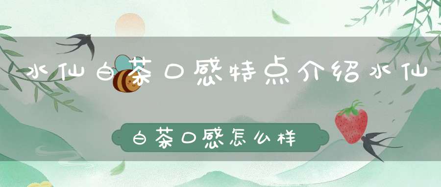 水仙白茶口感特点介绍水仙白茶口感怎么样