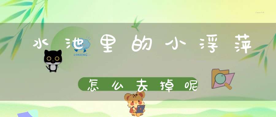 水池里的小浮萍怎么去掉呢？