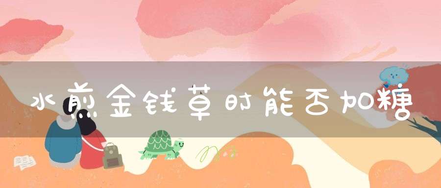 水煎金钱草时能否加糖？