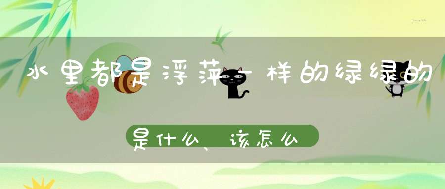 水里都是浮萍一样的绿绿的是什么、该怎么处理？