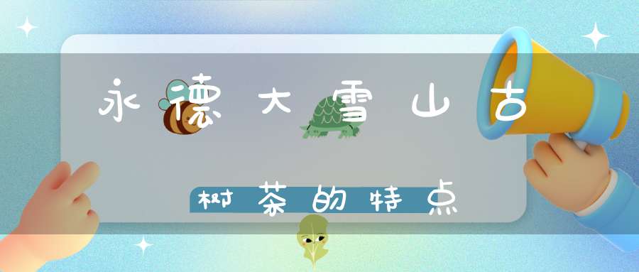 永德大雪山古树茶的特点