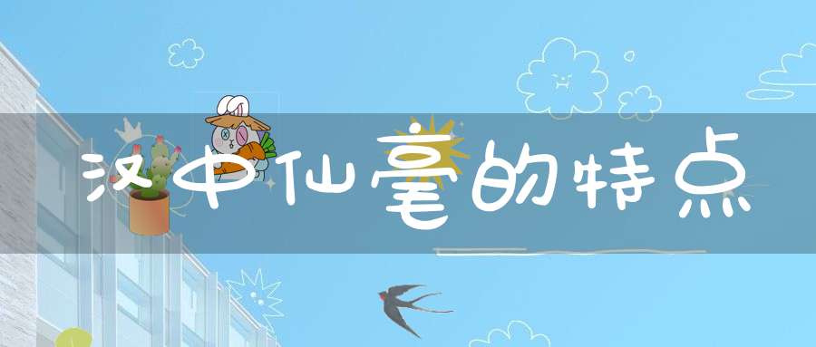 汉中仙毫的特点