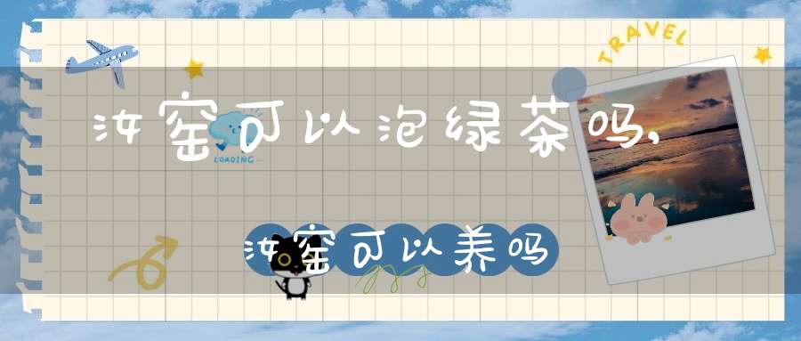 汝窑可以泡绿茶吗,汝窑可以养吗