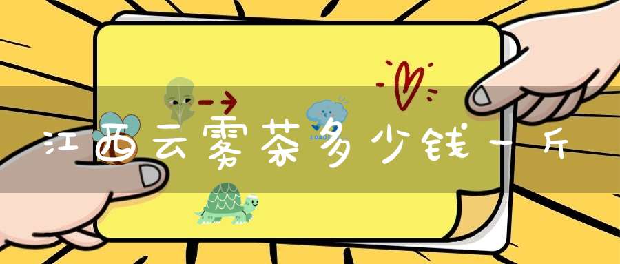 江西云雾茶多少钱一斤