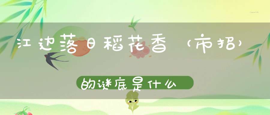 江边落日稻花香 （市招）的谜底是什么?